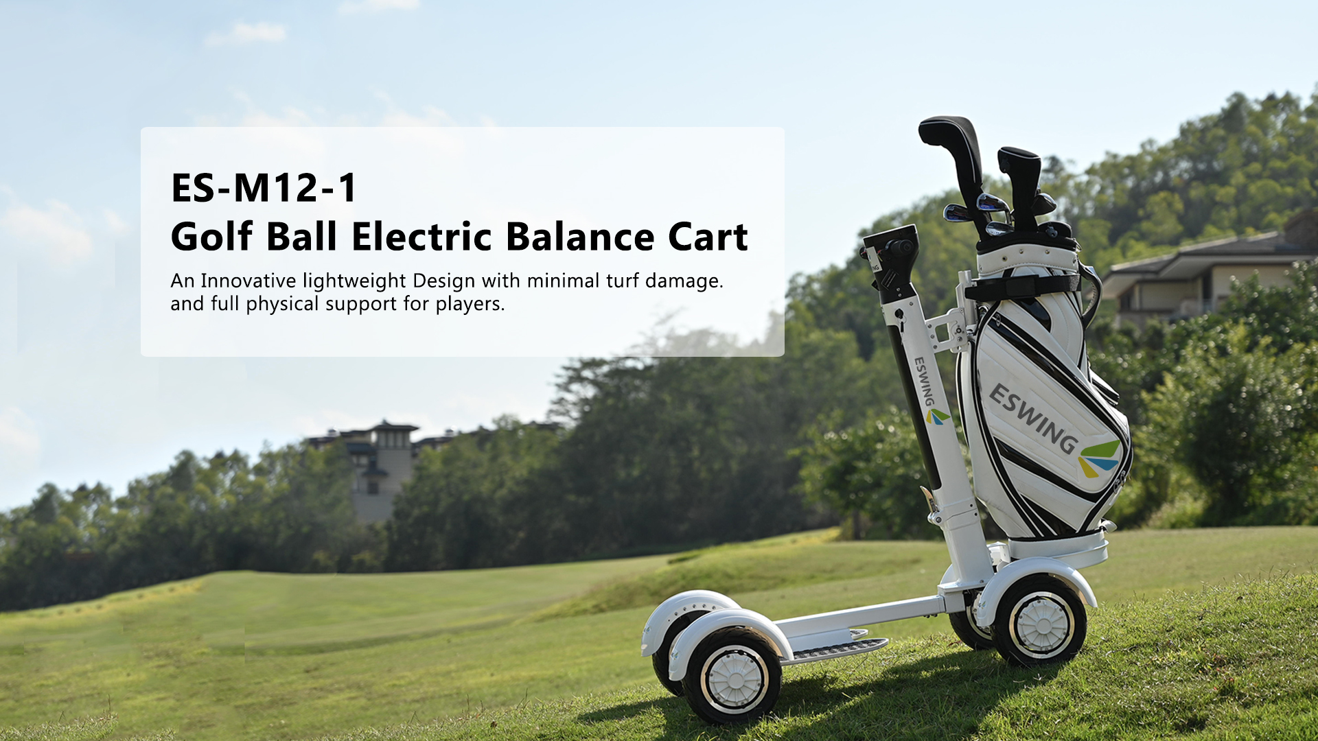 Electric Golf Scooter